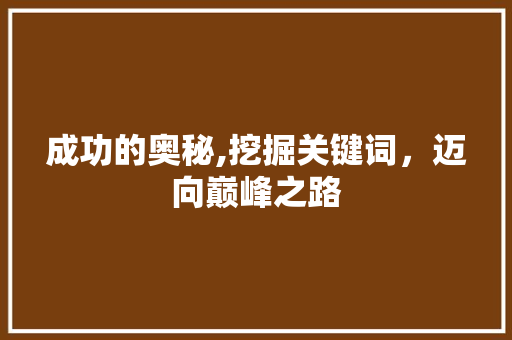 成功的奥秘,挖掘关键词，迈向巅峰之路