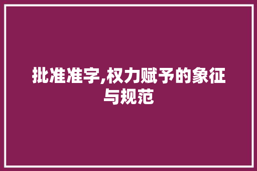 批准准字,权力赋予的象征与规范