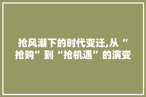 抢风潮下的时代变迁,从“抢购”到“抢机遇”的演变之路