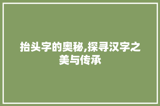 抬头字的奥秘,探寻汉字之美与传承