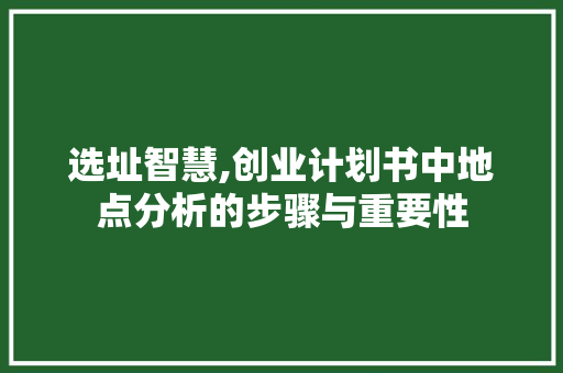 选址智慧,创业计划书中地点分析的步骤与重要性