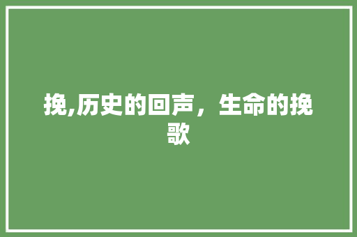 挽,历史的回声，生命的挽歌 工作类