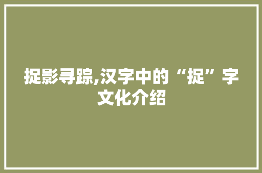 捉影寻踪,汉字中的“捉”字文化介绍