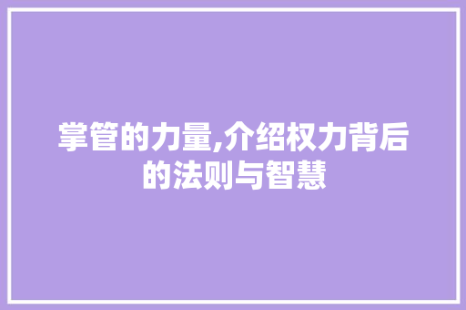 掌管的力量,介绍权力背后的法则与智慧 工作总结