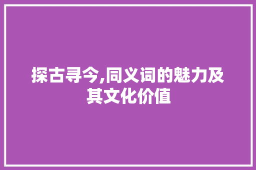 探古寻今,同义词的魅力及其文化价值
