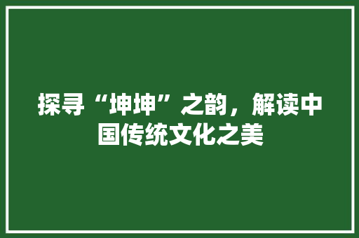 探寻“坤坤”之韵，解读中国传统文化之美