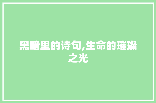 黑暗里的诗句,生命的璀璨之光 商业文稿