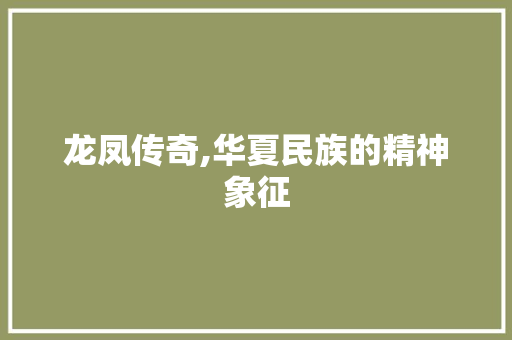龙凤传奇,华夏民族的精神象征 生活类