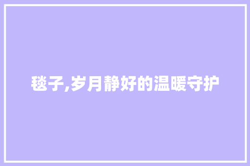 毯子,岁月静好的温暖守护