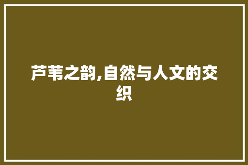 芦苇之韵,自然与人文的交织