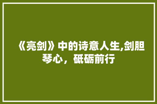 《亮剑》中的诗意人生,剑胆琴心，砥砺前行 采访稿