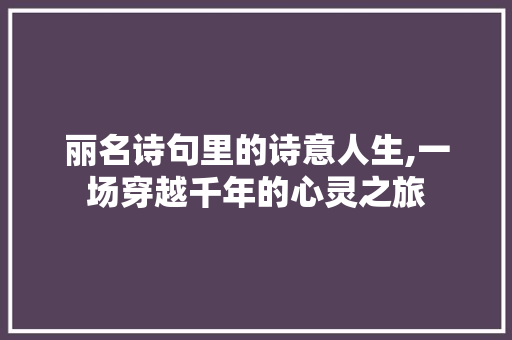 丽名诗句里的诗意人生,一场穿越千年的心灵之旅