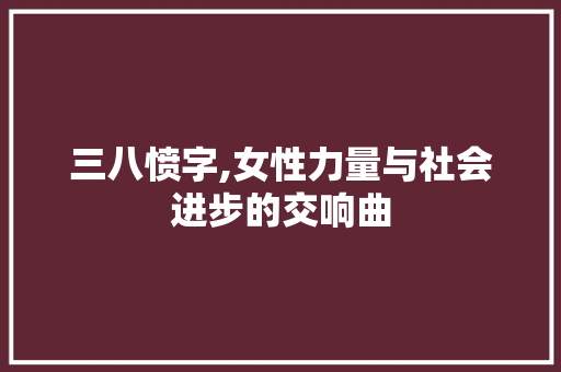 三八愤字,女性力量与社会进步的交响曲