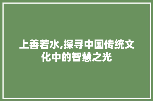 上善若水,探寻中国传统文化中的智慧之光 工作总结
