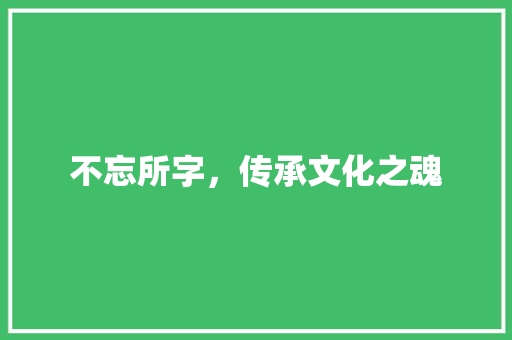 不忘所字，传承文化之魂