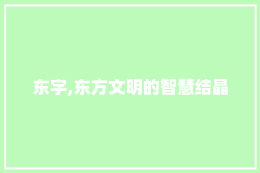东字,东方文明的智慧结晶