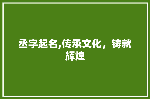 丞字起名,传承文化，铸就辉煌