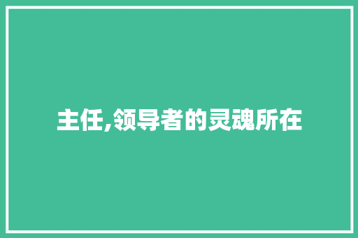 主任,领导者的灵魂所在 采访稿