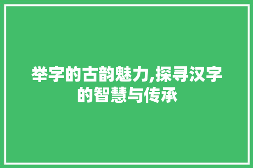 举字的古韵魅力,探寻汉字的智慧与传承