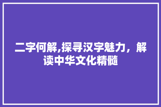 二字何解,探寻汉字魅力，解读中华文化精髓