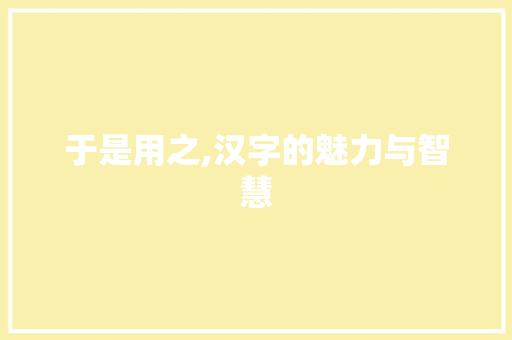 于是用之,汉字的魅力与智慧