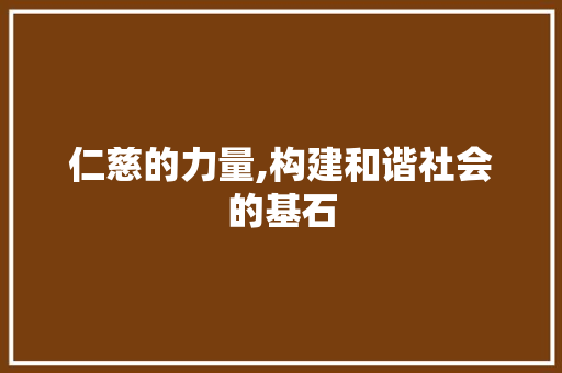 仁慈的力量,构建和谐社会的基石
