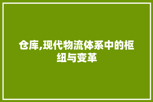仓库,现代物流体系中的枢纽与变革