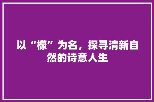 以“檬”为名，探寻清新自然的诗意人生