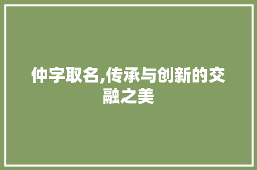仲字取名,传承与创新的交融之美