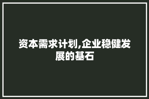 资本需求计划,企业稳健发展的基石