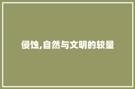 侵蚀,自然与文明的较量