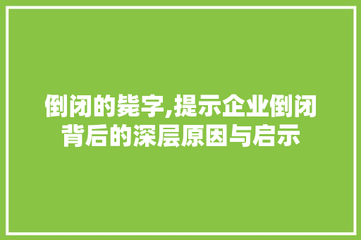 倒闭的毙字,提示企业倒闭背后的深层原因与启示