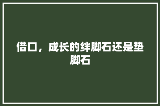借口，成长的绊脚石还是垫脚石