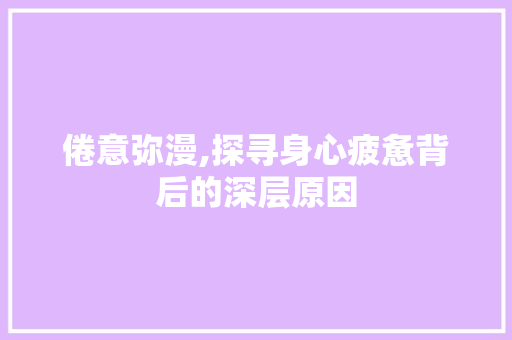 倦意弥漫,探寻身心疲惫背后的深层原因
