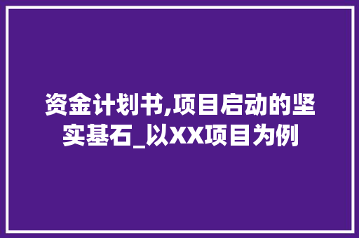 资金计划书,项目启动的坚实基石_以XX项目为例