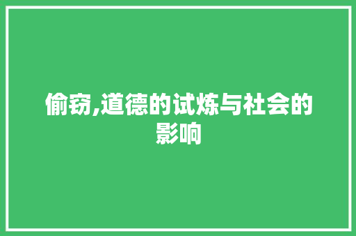偷窃,道德的试炼与社会的影响