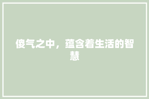 傻气之中，蕴含着生活的智慧