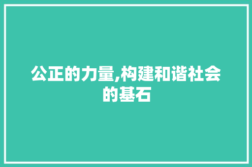 公正的力量,构建和谐社会的基石