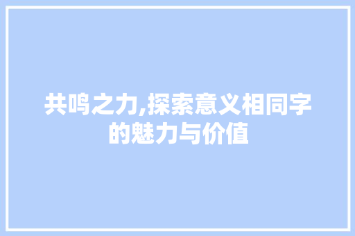 共鸣之力,探索意义相同字的魅力与价值 工作总结