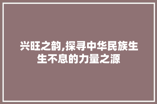 兴旺之韵,探寻中华民族生生不息的力量之源