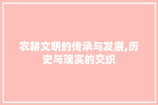 农耕文明的传承与发展,历史与现实的交织
