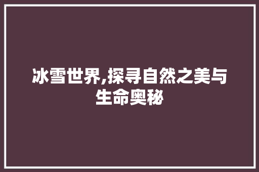 冰雪世界,探寻自然之美与生命奥秘
