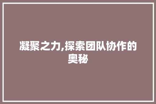 凝聚之力,探索团队协作的奥秘