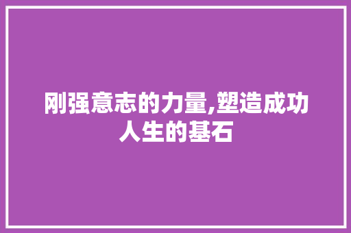 刚强意志的力量,塑造成功人生的基石