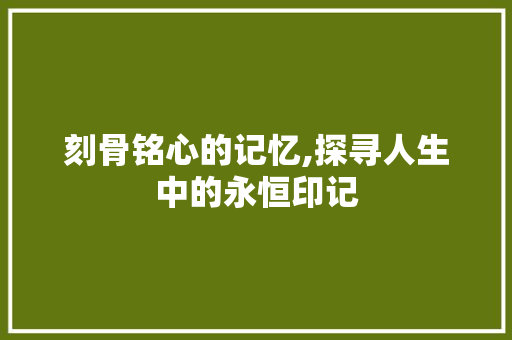 刻骨铭心的记忆,探寻人生中的永恒印记