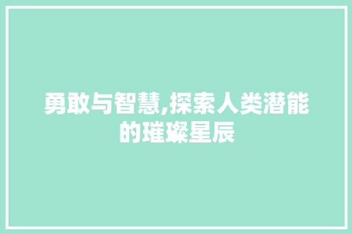 勇敢与智慧,探索人类潜能的璀璨星辰