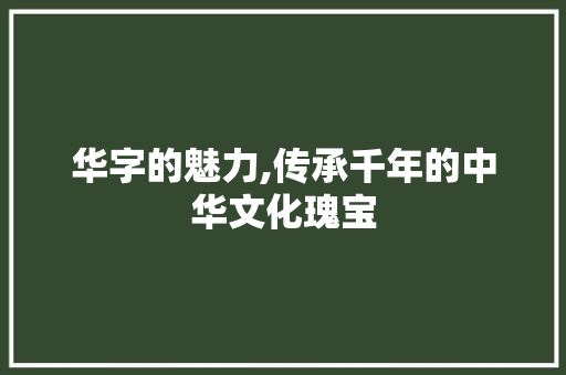 华字的魅力,传承千年的中华文化瑰宝