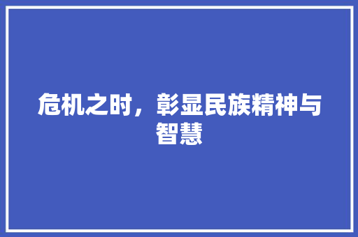 危机之时，彰显民族精神与智慧