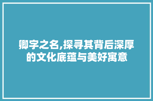 卿字之名,探寻其背后深厚的文化底蕴与美好寓意
