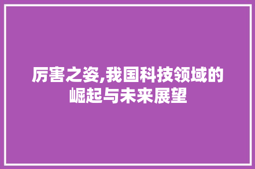 厉害之姿,我国科技领域的崛起与未来展望